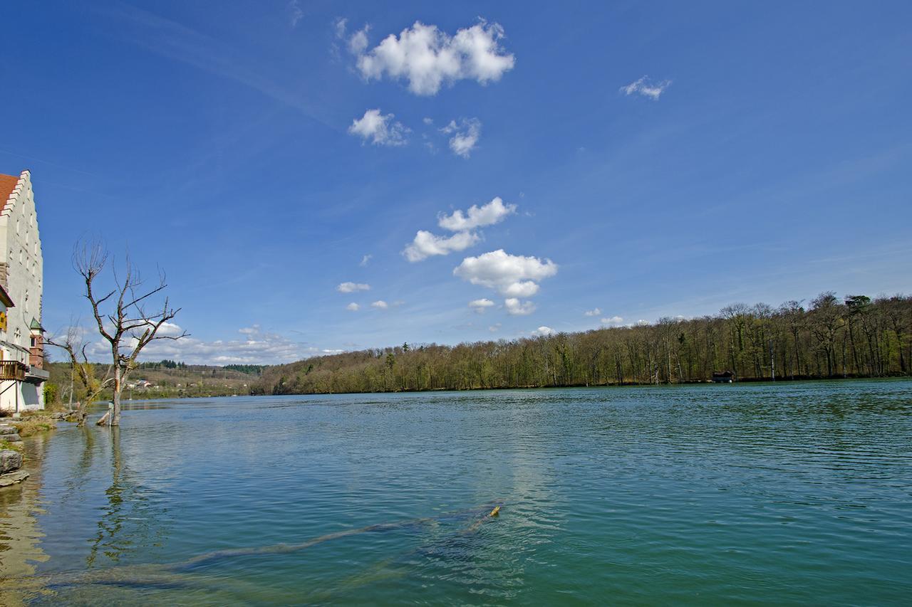 Schloss Beuggen Rheinfelden  Bagian luar foto